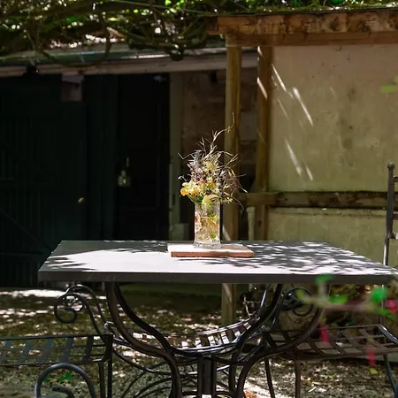 Le Petit Cocon Bucolique - T2 Familial Apartman Poitiers